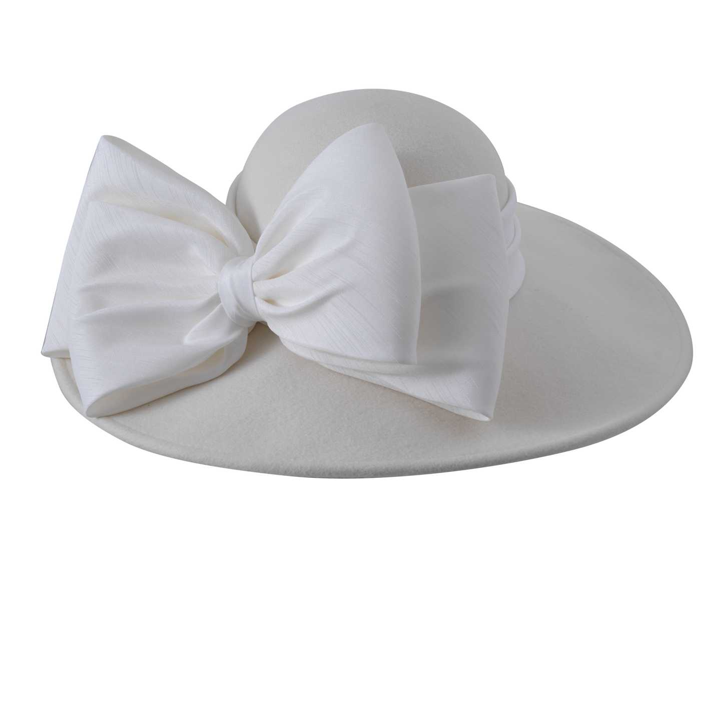 Felt Picture Hat